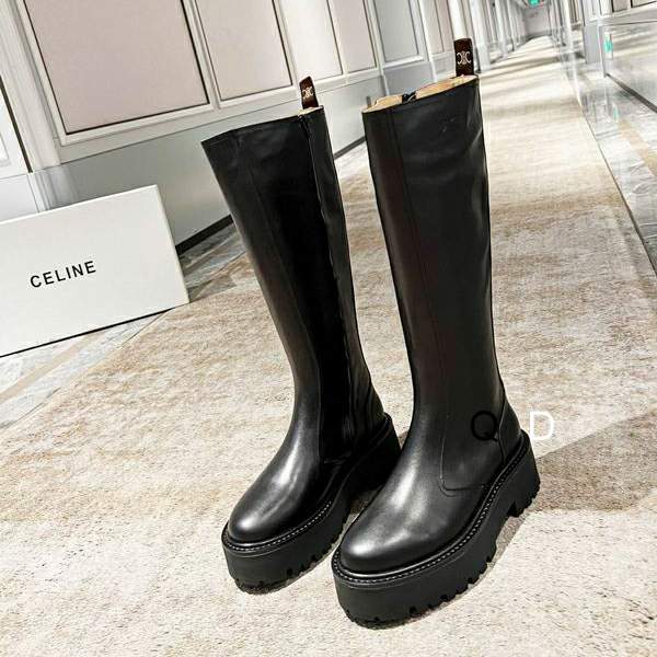 Picture of Celine Shoes _SKUCELINEsz35-40GDT09072089